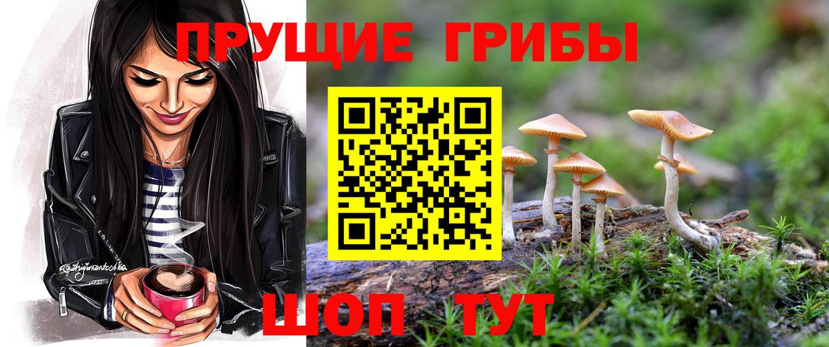 Псилоцибиновые грибы ЛСД  продажа наркотиков  Вход с VPN  Псков  Псилоцибиновые грибы прущие грибы 